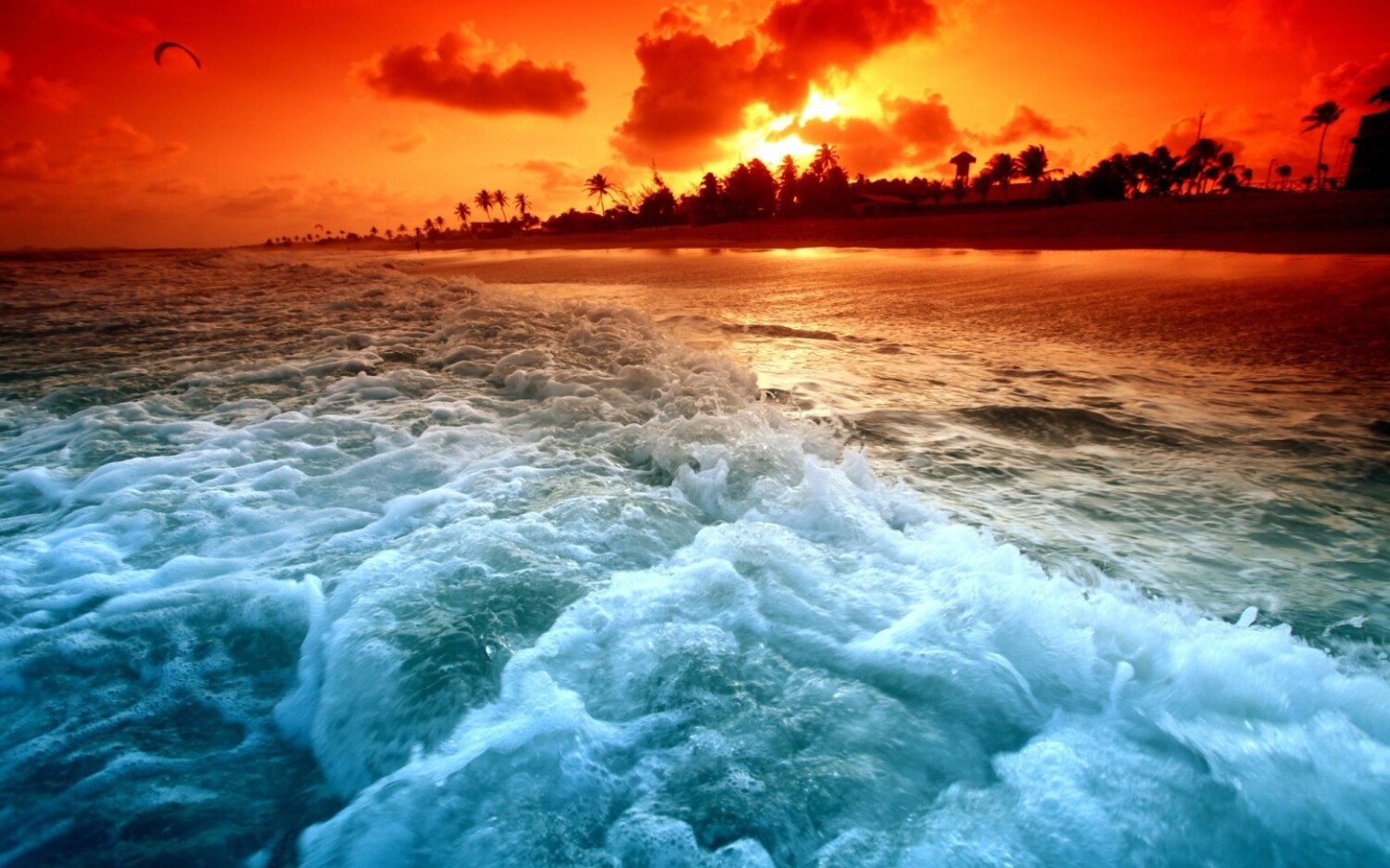 Download this Beautiful Burning Beach Upload Free Download Widescreen Nature picture