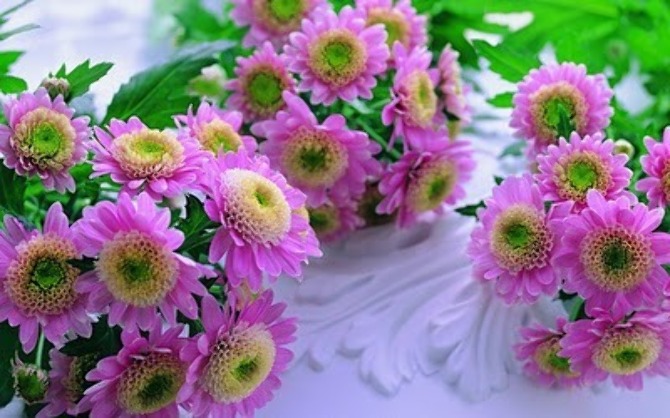 pink flowers-photo2