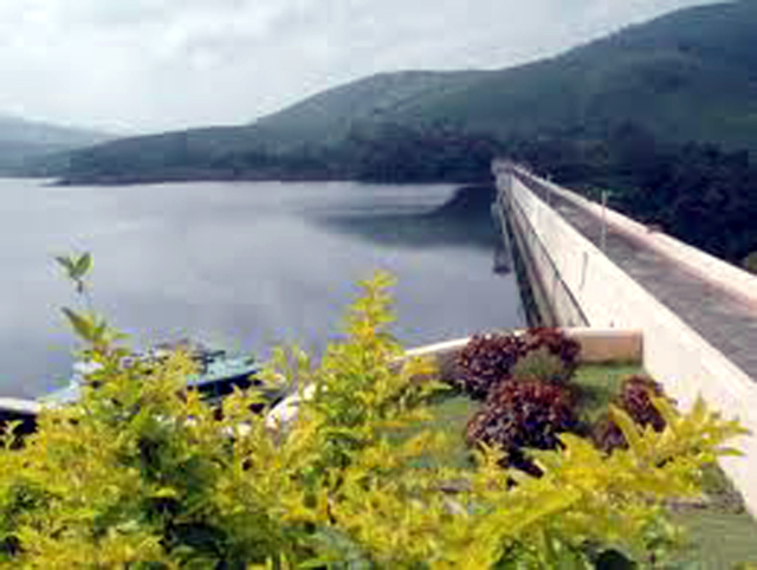 Mullaperiyar Dam Photo : mullaperiyar dam - photo 6 from album ...